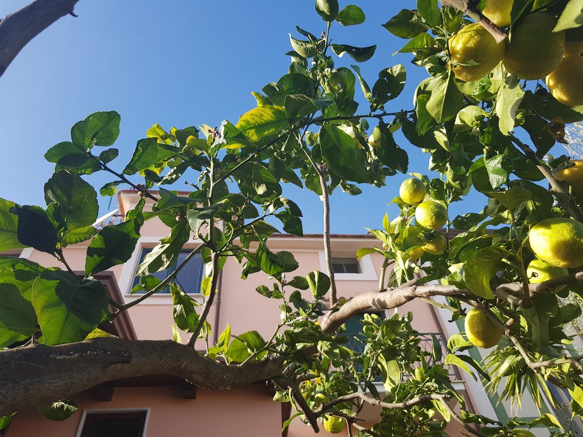 La Casa Di Paolo Casa Di Charme Hotel มารีนาดีกาเมโรตา ภายนอก รูปภาพ